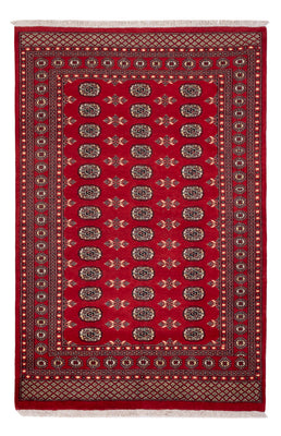 Pakistan Teppich - 258 x 179 cm - rot