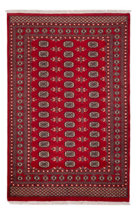 Pakistan Teppich - 258 x 179 cm - rot