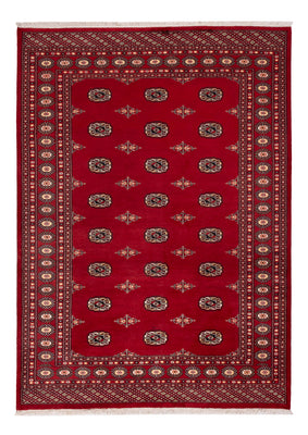 Pakistan Teppich - 236 x 171 cm - rot