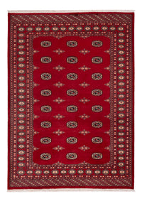 Pakistan Teppich - 236 x 171 cm - rot