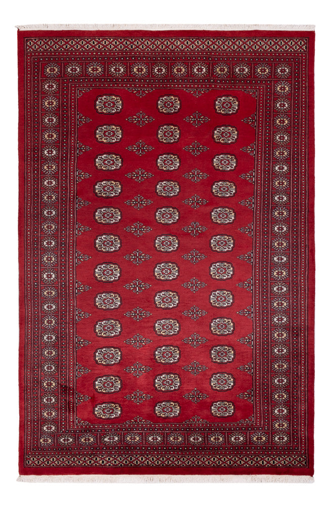 Pakistan Teppich - 249 x 167 cm - rot