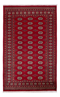 Pakistan Teppich - 266 x 167 cm - rot