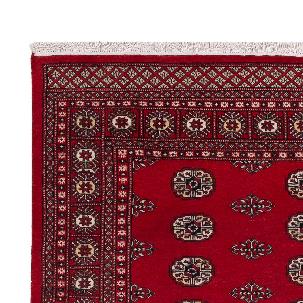 Pakistan Teppich 239x164cm - Orientteppich