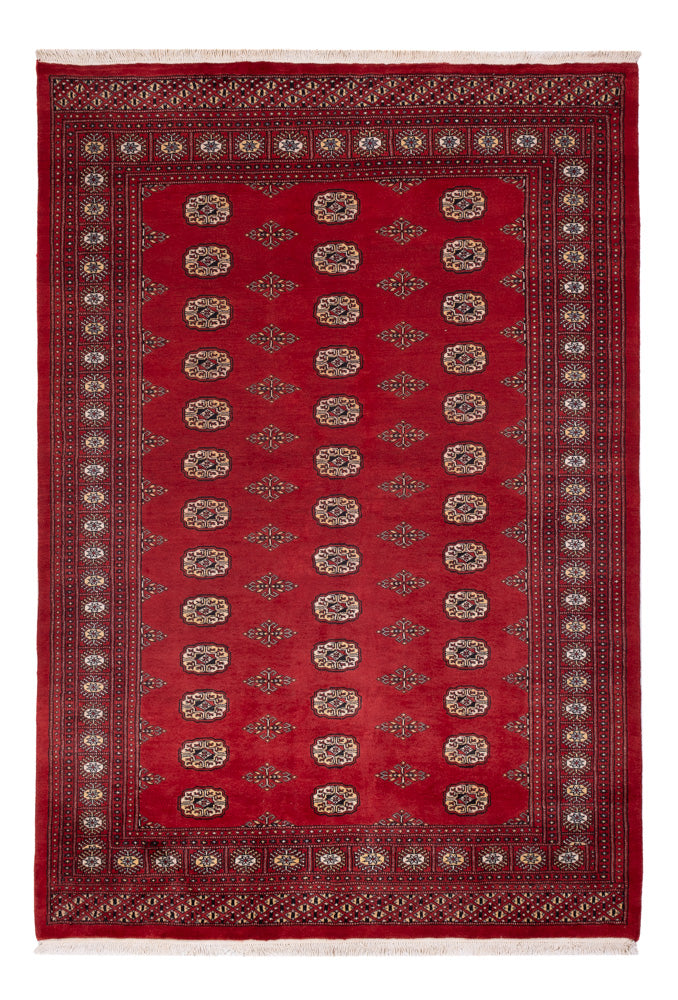Pakistan Teppich - 235 x 165 cm - rot