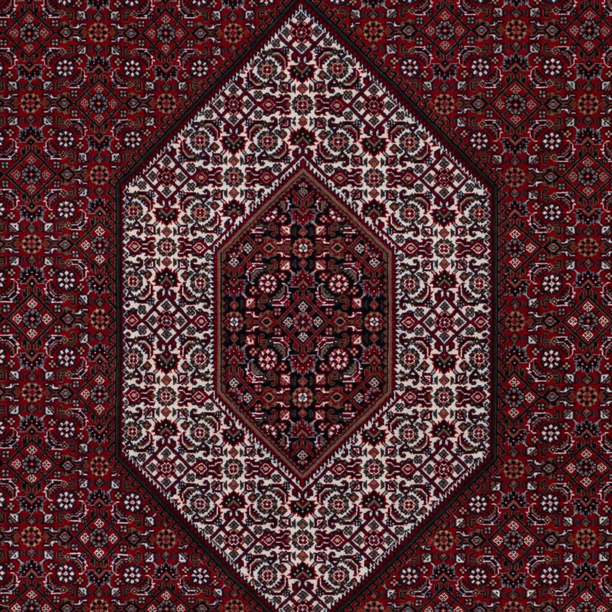 Orientteppich - Bidjar - Indus - 298 x 200 cm - dunkelcamel