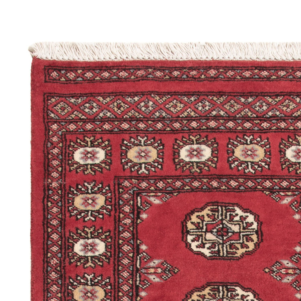 Pakistan Teppich - 156 x 92 cm - rot