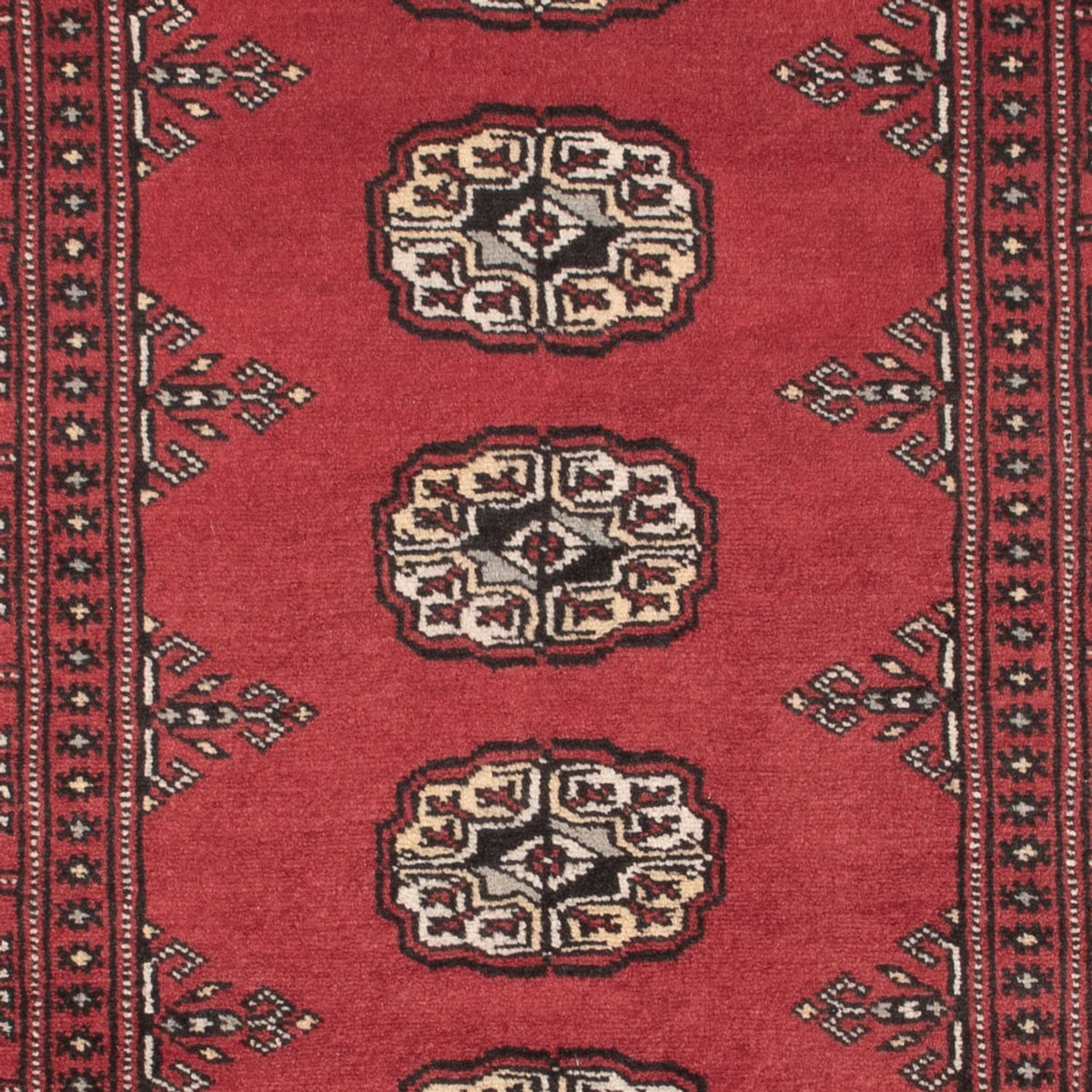 Pakistan Teppich - 163 x 94 cm - rot