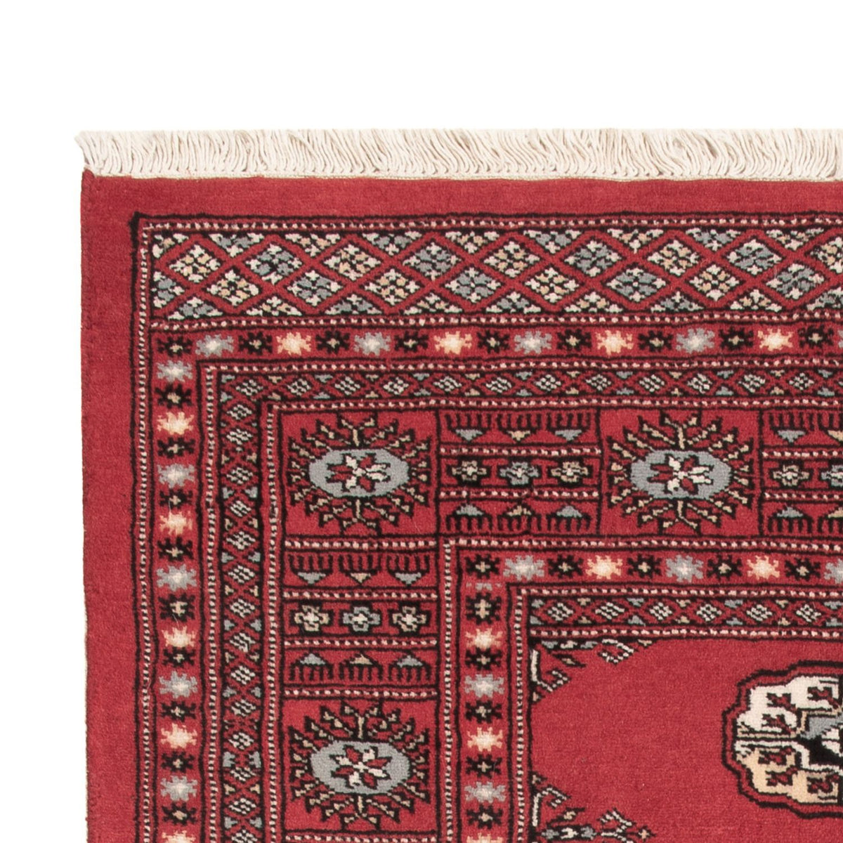 Pakistan Teppich - 150 x 93 cm - rot