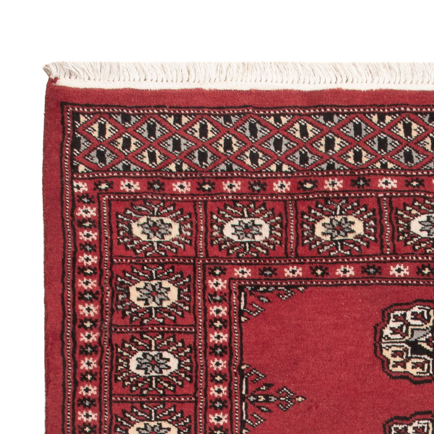 Pakistan Teppich 152x97cm - Orientteppich