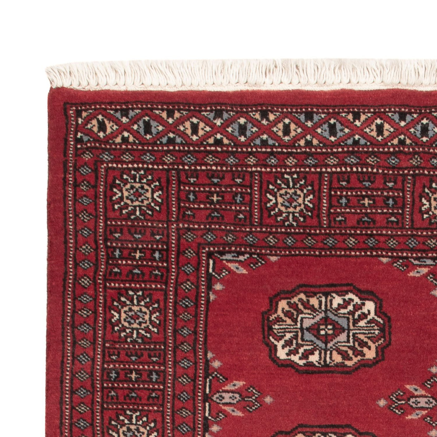 Pakistan Teppich 156x96cm - Orientteppich