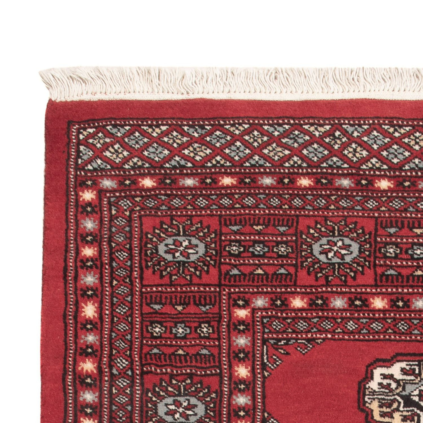 Pakistan Teppich 144x93cm - Orientteppich