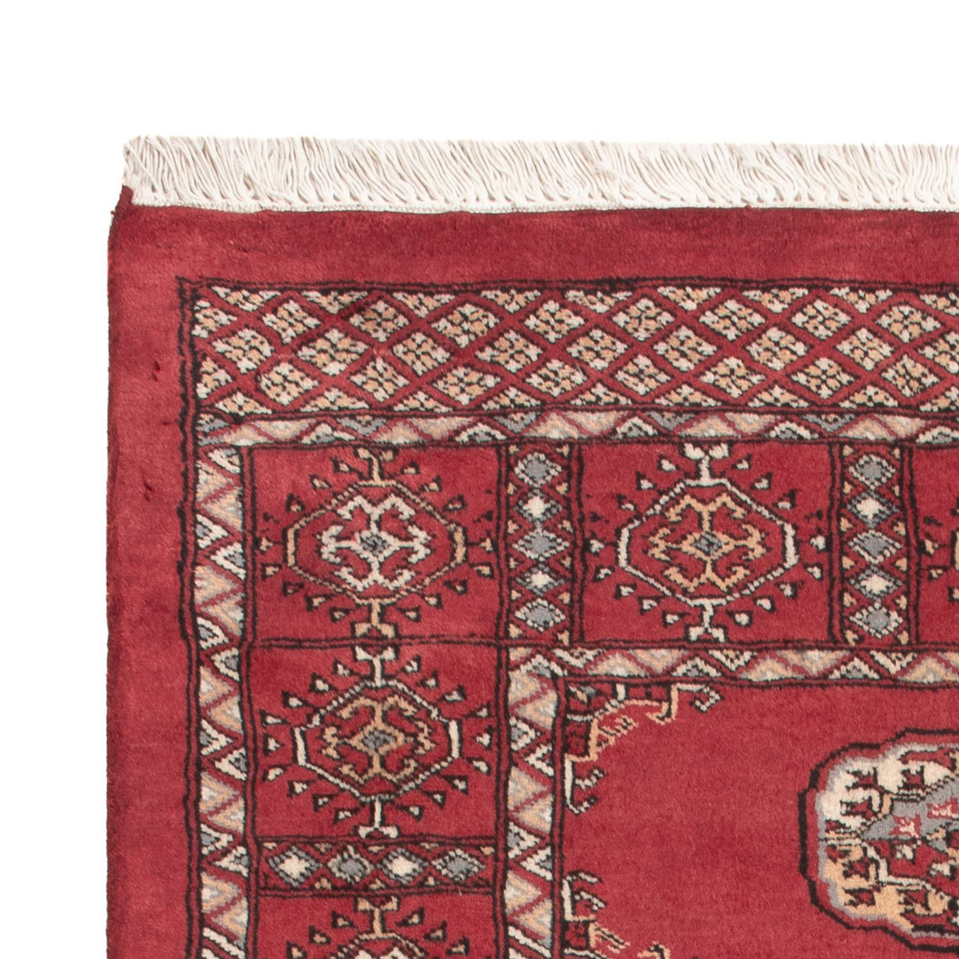 Pakistan Teppich 146x89cm - Orientteppich