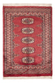 Pakistan Teppich 114x79cm - Orientteppich