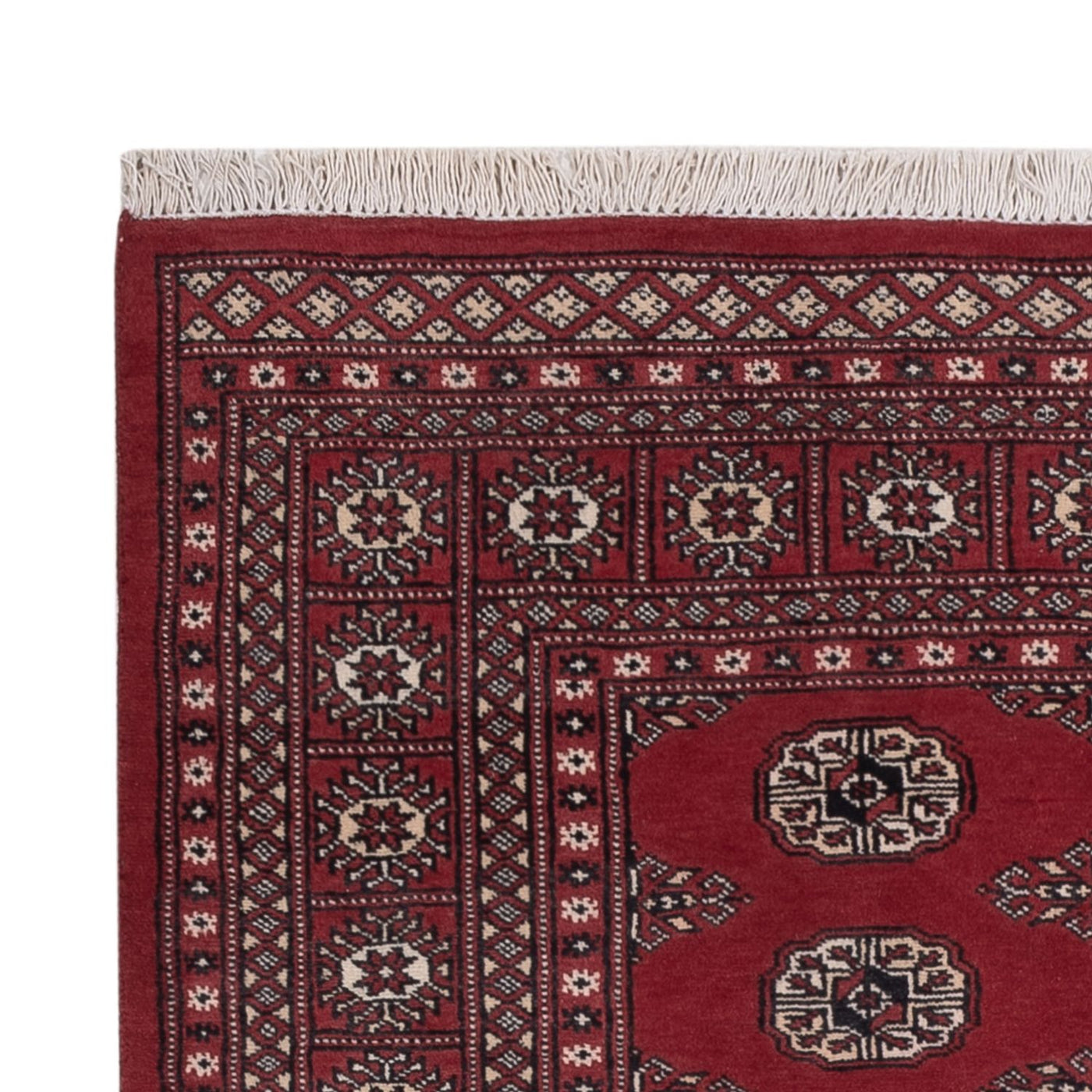 Pakistan Teppich 184x134cm - Orientteppich