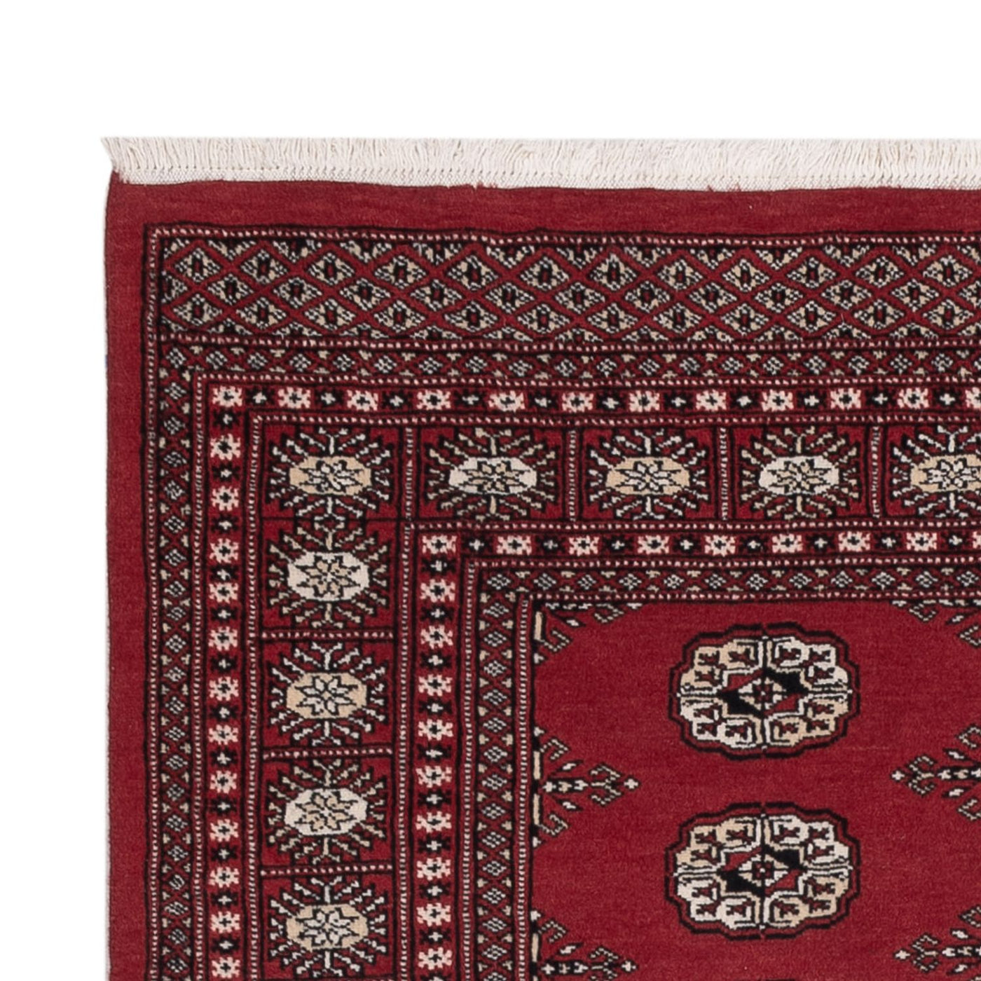 Pakistan Teppich 179x135cm - Orientteppich