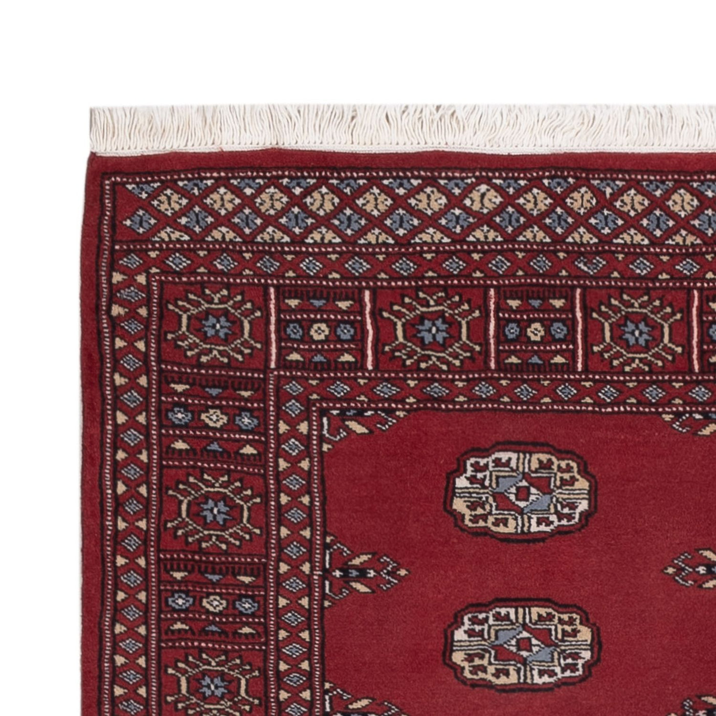 Pakistan Teppich 169x125cm - Orientteppich