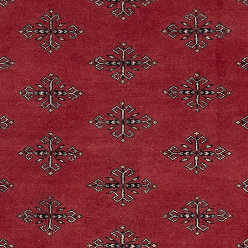 Pakistan Teppich - 183 x 124 cm - rot