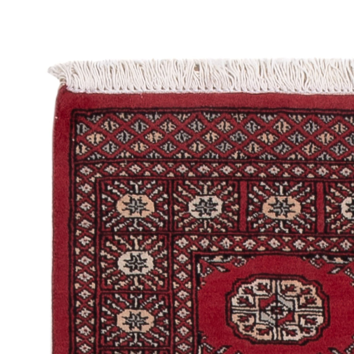 Pakistan Teppich 312x79cm - Orientteppich