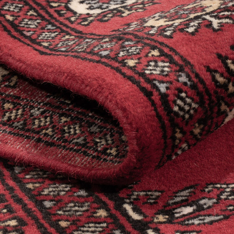 Läufer Pakistan - 272 x 80 cm - rot