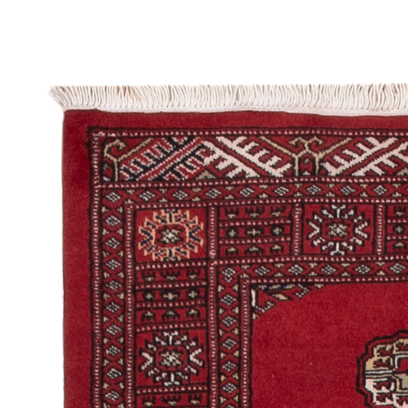 Pakistan Teppich 319x81cm - Orientteppich
