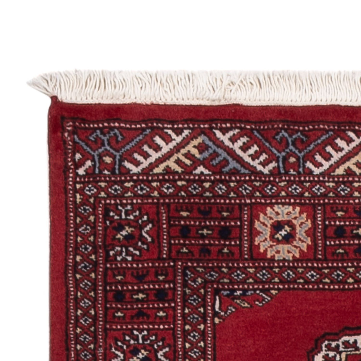 Pakistan Teppich 301x79cm - Orientteppich