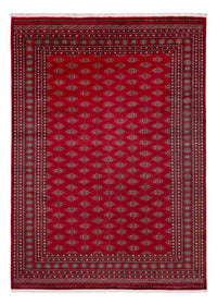 Buchara Teppich 350x253cm - Orientteppich – product image