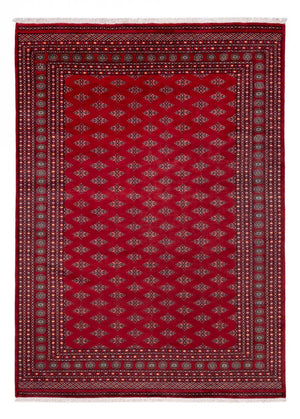 Afghan Teppich - Buchara - 350 x 253 cm - rot