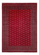 Buchara Teppich 350x253cm - Orientteppich
