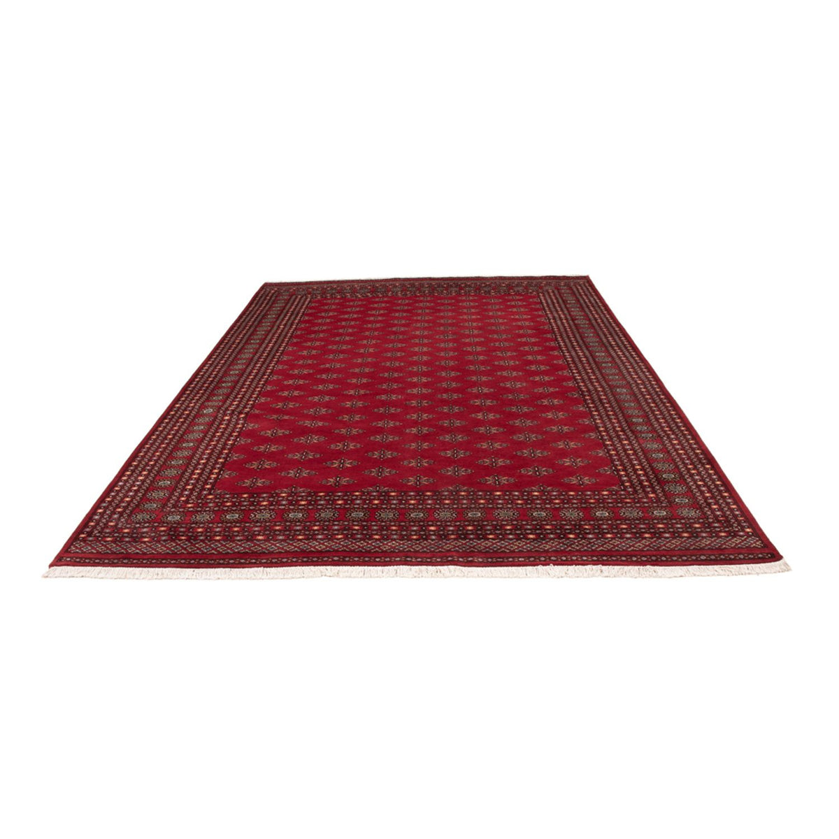 Afghan Teppich - Buchara - 350 x 253 cm - rot