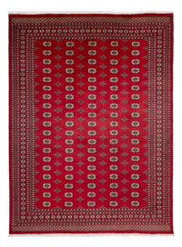 Afghan Teppich - Buchara - 369 x 275 cm - rot