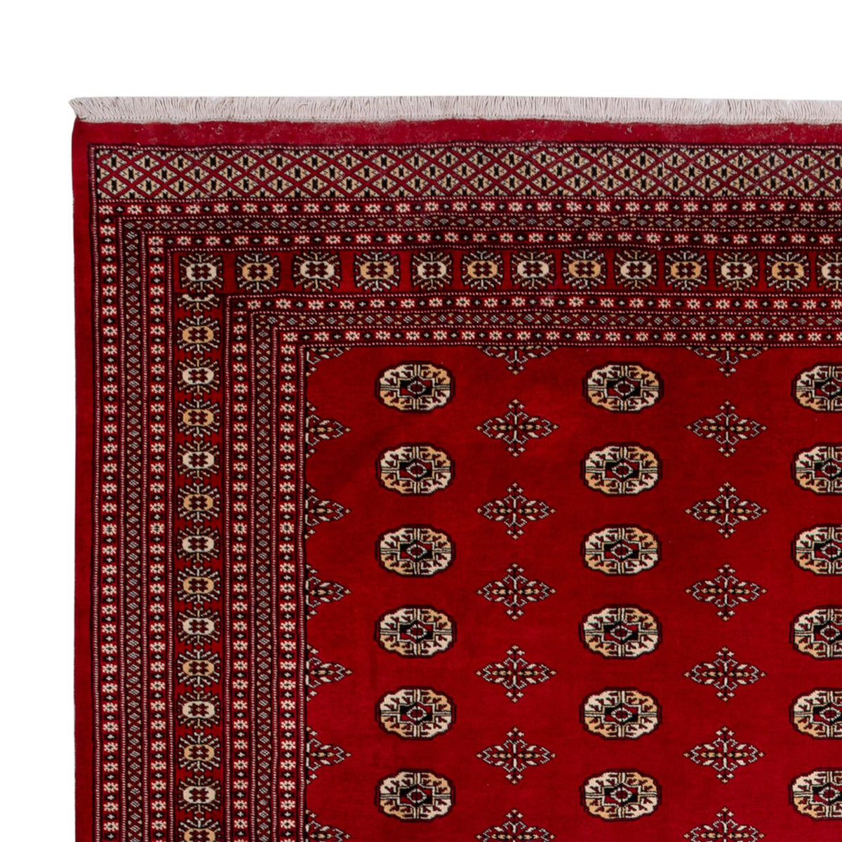 Afghan Teppich - Buchara - 387 x 276 cm - rot