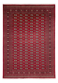Afghan Teppich - Buchara - 346 x 241 cm - rot