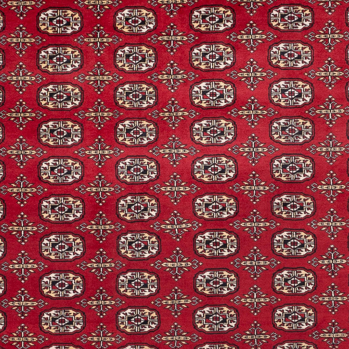 Afghan Teppich - Buchara - 346 x 241 cm - rot