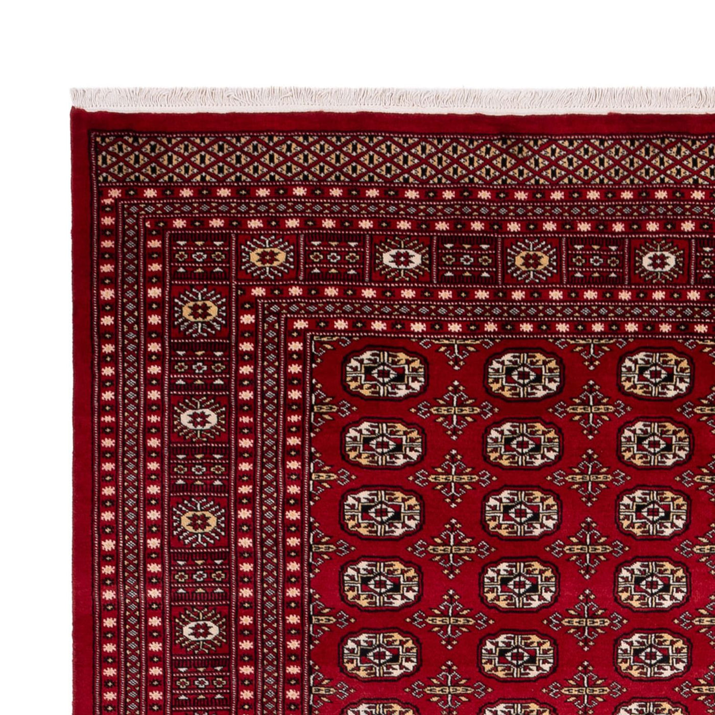 Buchara Teppich 346x241cm - Orientteppich