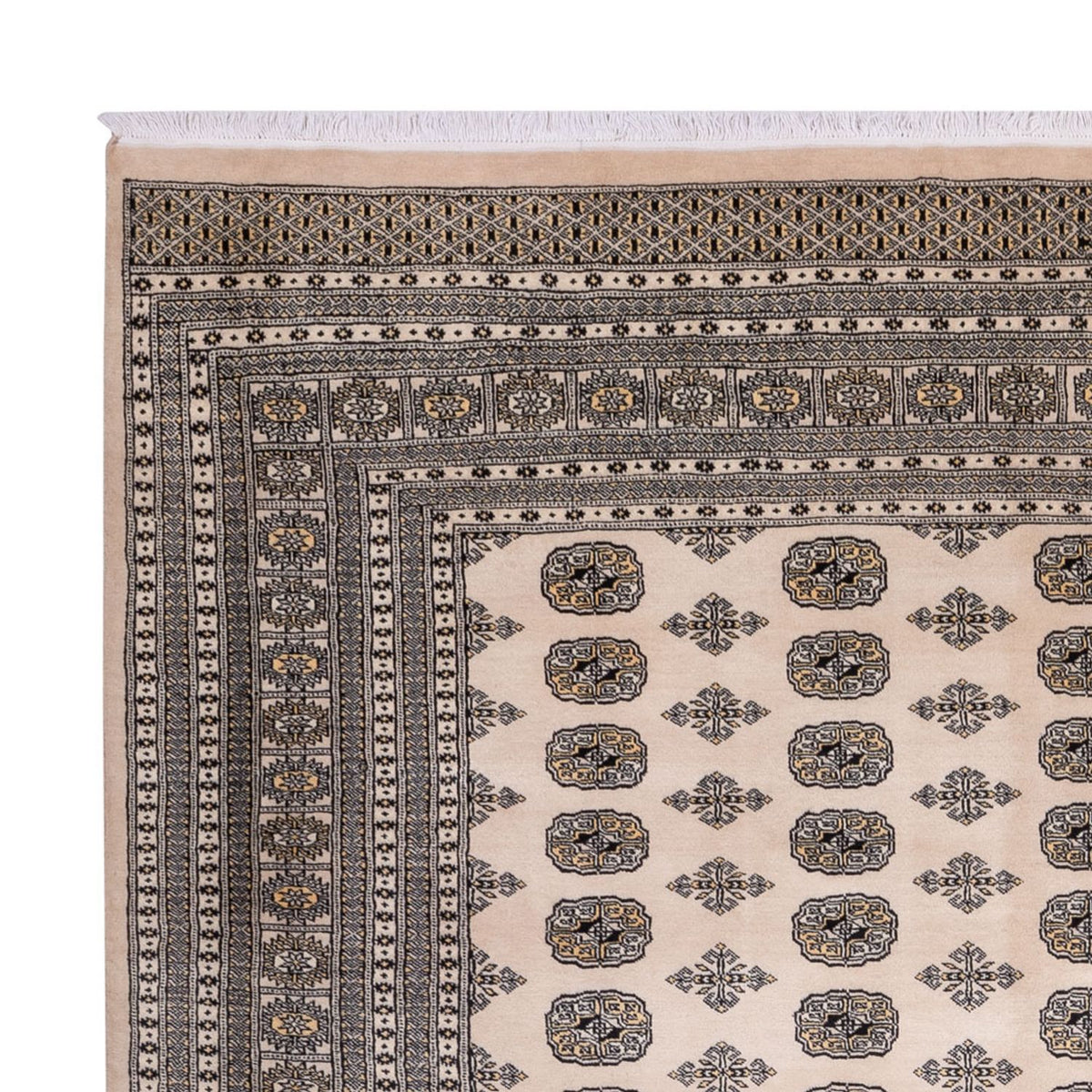 Buchara Teppich 278x359cm - Orientteppich