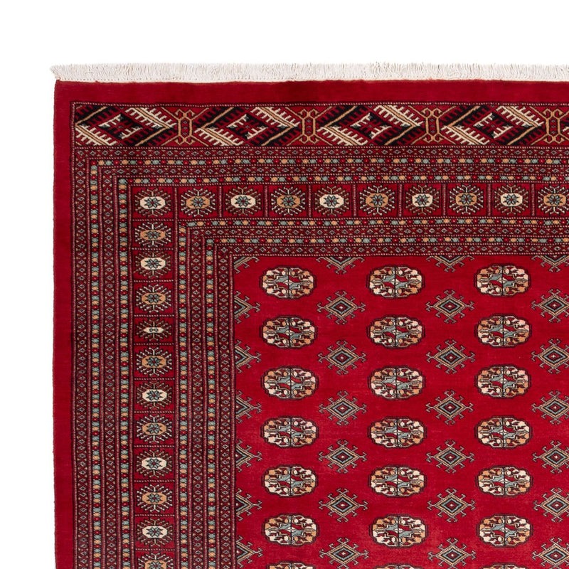 Afghan Teppich - Buchara - 354 x 275 cm - rot