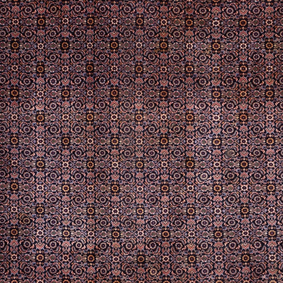 Perserteppich - Bidjar - Royal - 349 x 252 cm - dunkelbeige