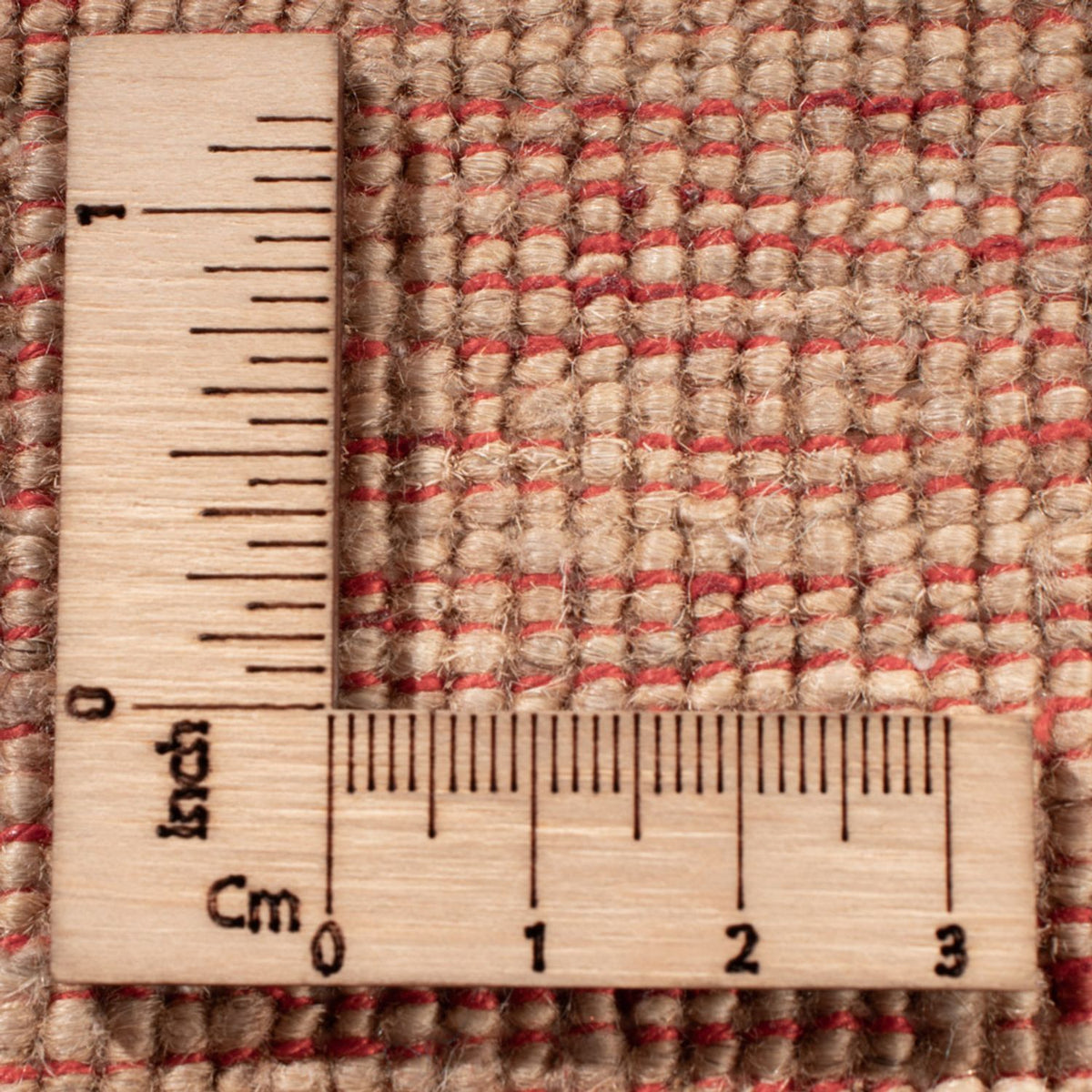 Ziegler Teppich - Ariana - 298 x 248 cm - beige