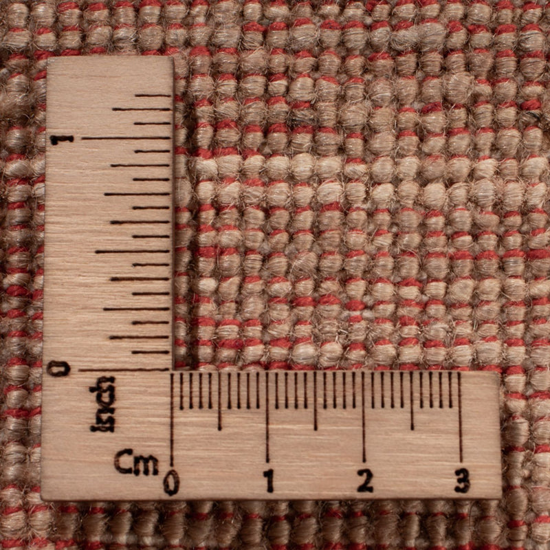 Ziegler Teppich - Ariana - 370 x 273 cm - beige