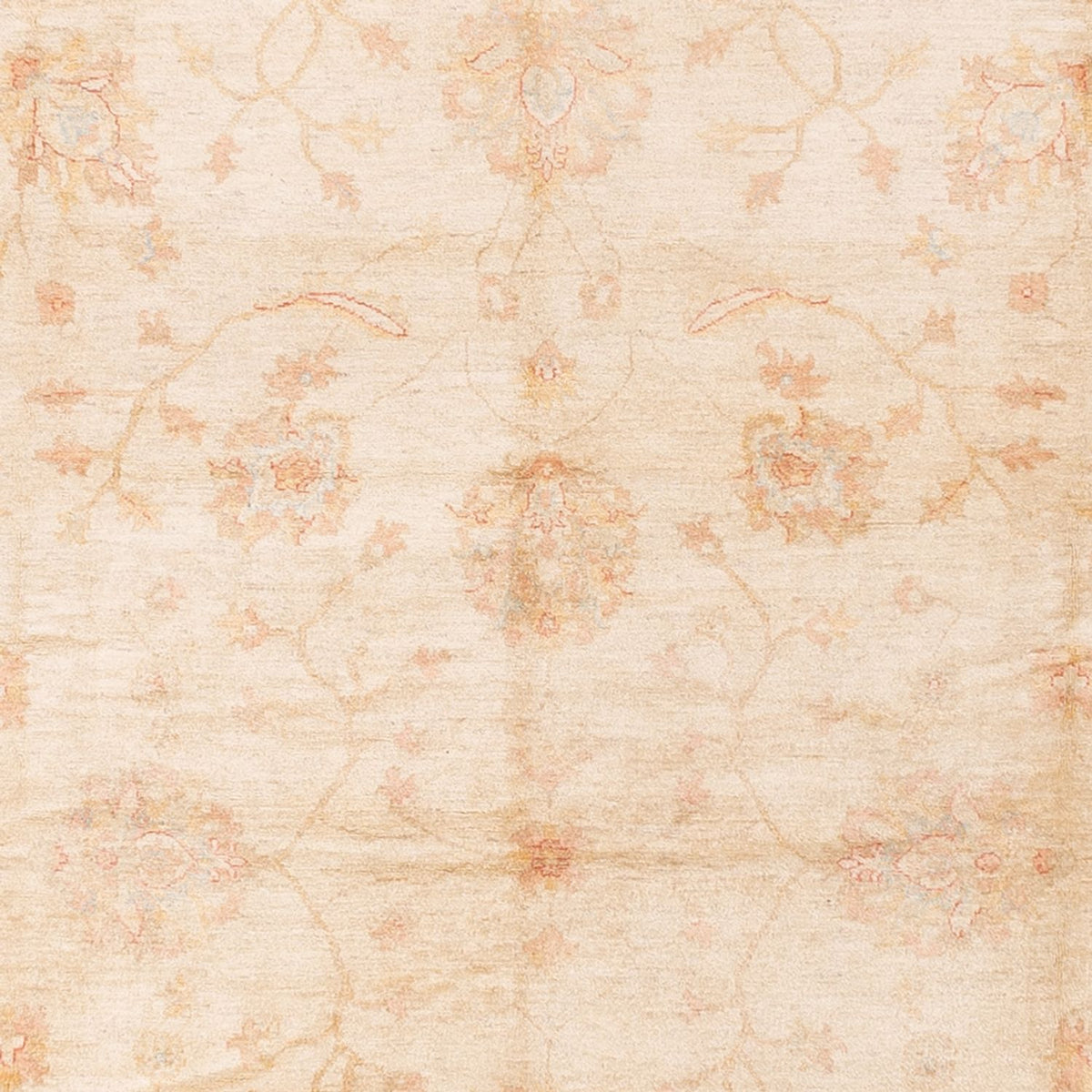 Ziegler Teppich - 592 x 403 cm - beige