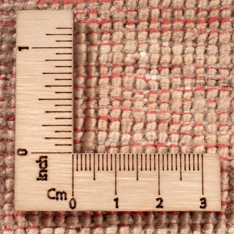 Ziegler Teppich - Ariana - 240 x 176 cm - beige