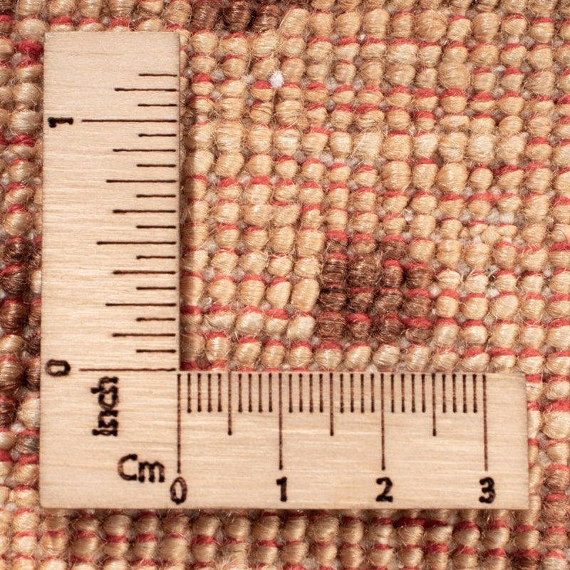 Ziegler Teppich - Ariana - 243 x 173 cm - beige