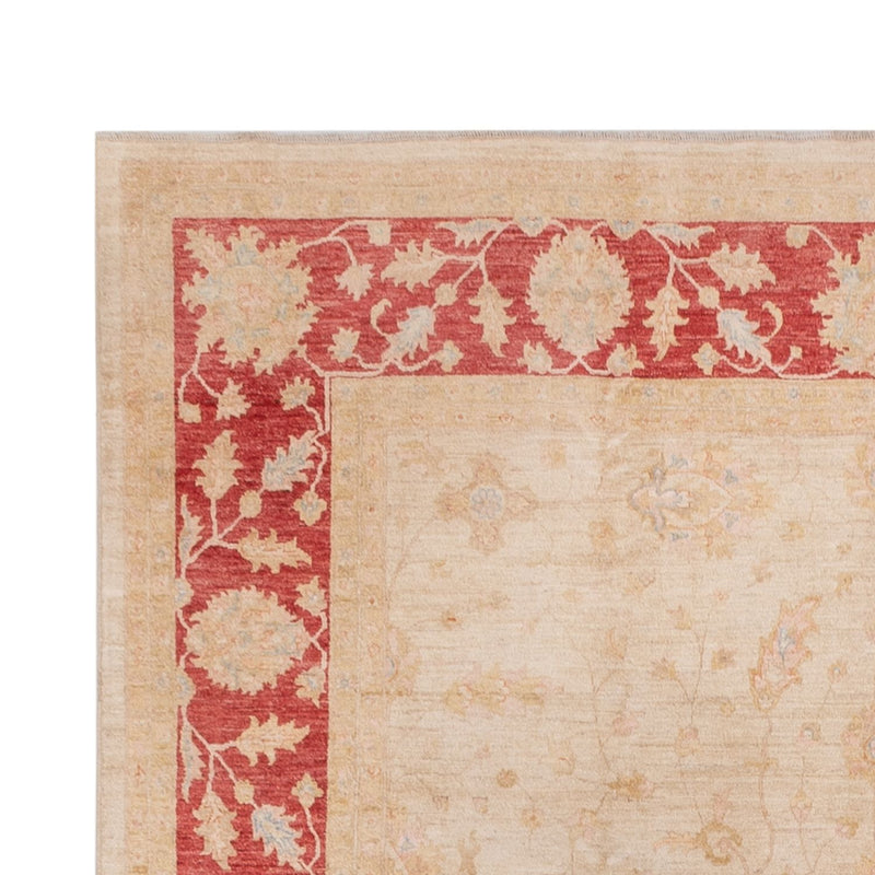 Ziegler Teppich - 494 x 301 cm - beige