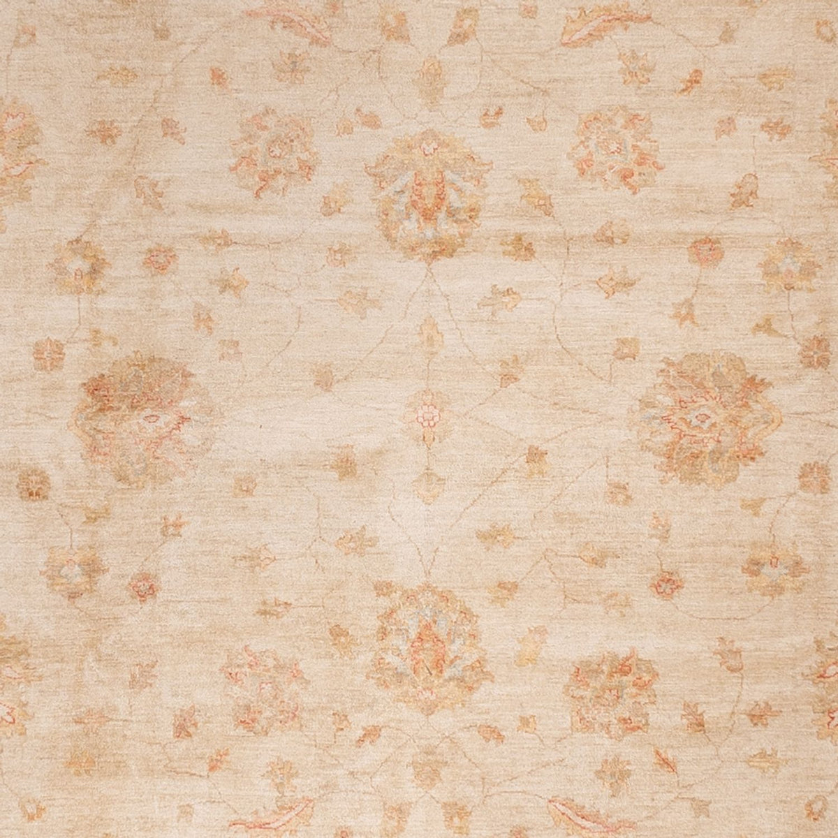 Ziegler Teppich - 498 x 405 cm - beige