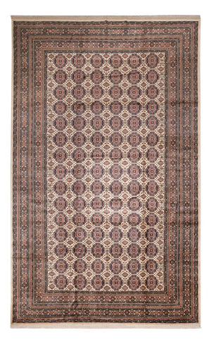 Afghan Teppich - 492 x 303 cm - dunkelbeige
