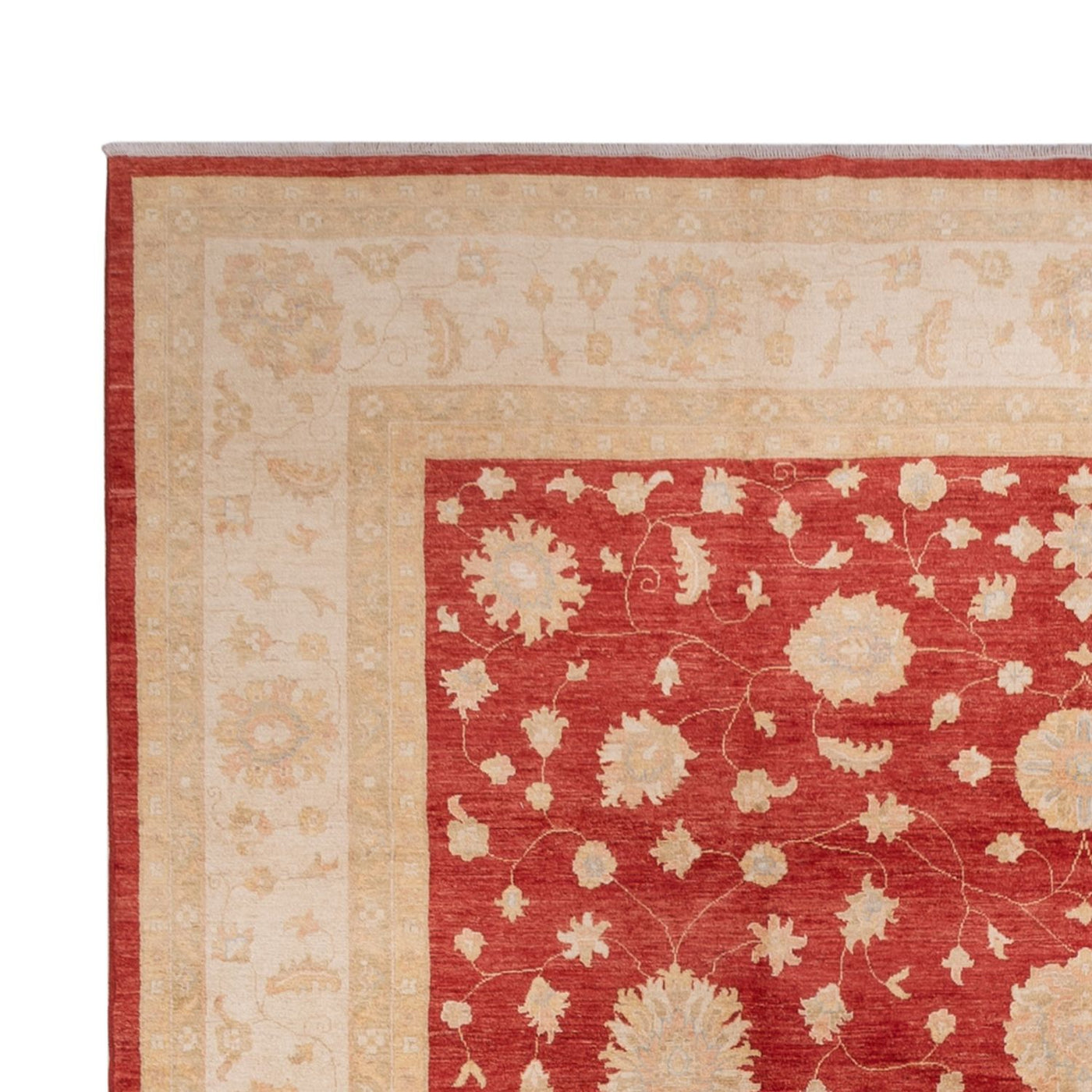 Ziegler Teppich 496x362cm - Orientteppich