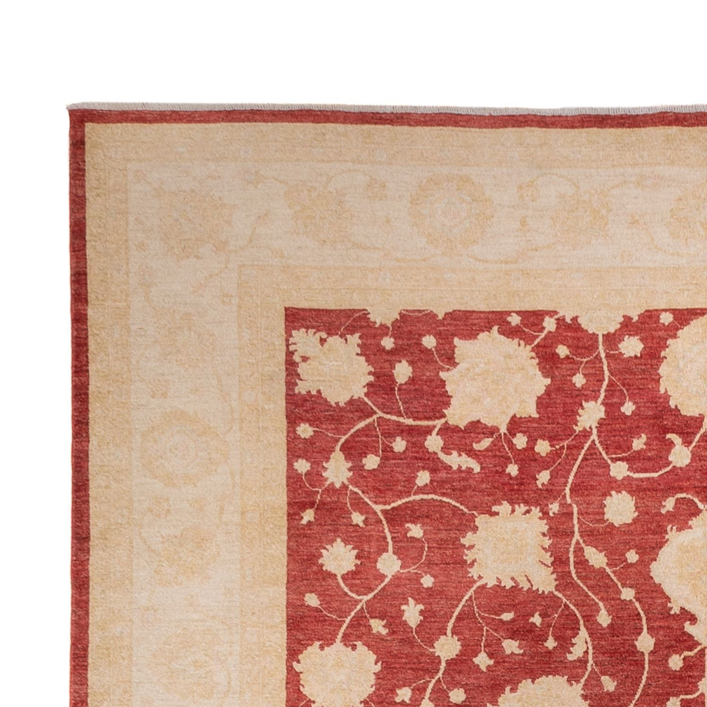 Ziegler Teppich 484x304cm - Orientteppich