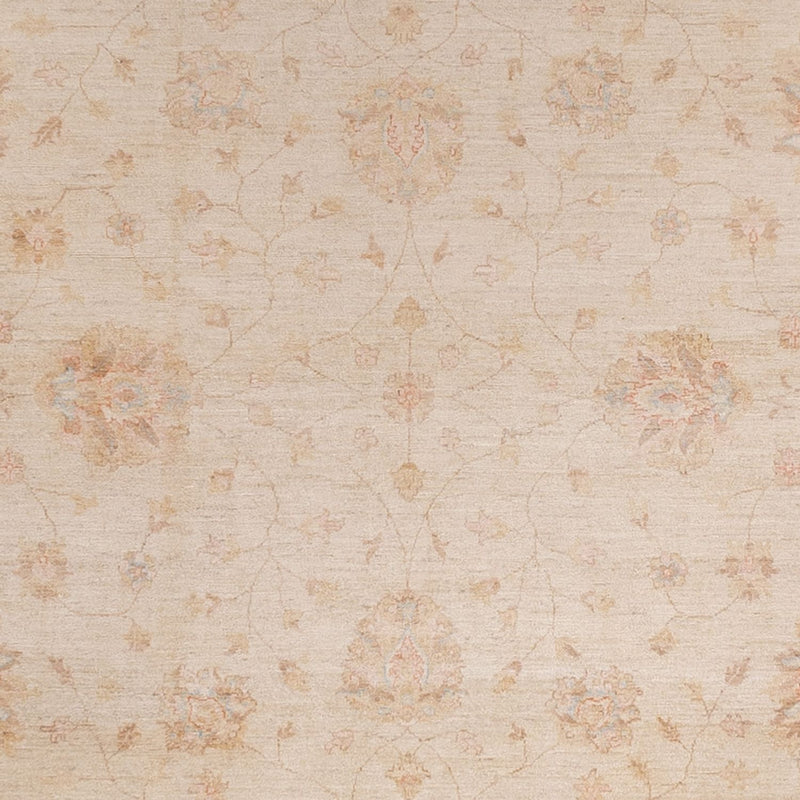 Ziegler Teppich - 487 x 301 cm - beige
