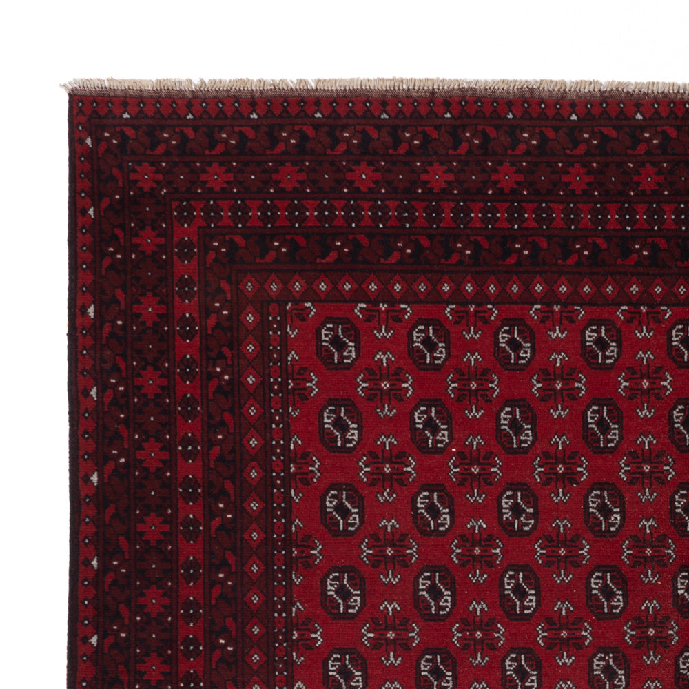 Afghan Teppich - Filpa - 245 x 302 cm - rot