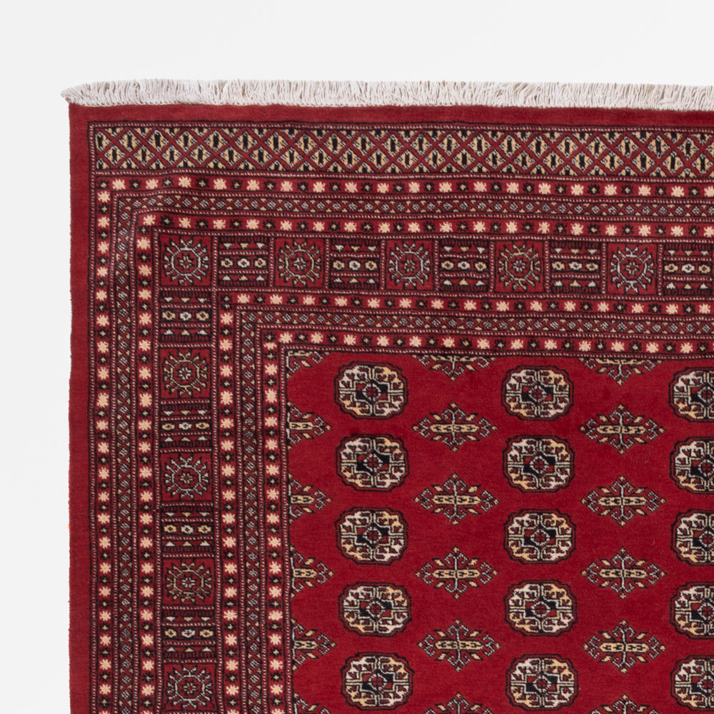 Pakistan Teppich 248x318cm - Orientteppich